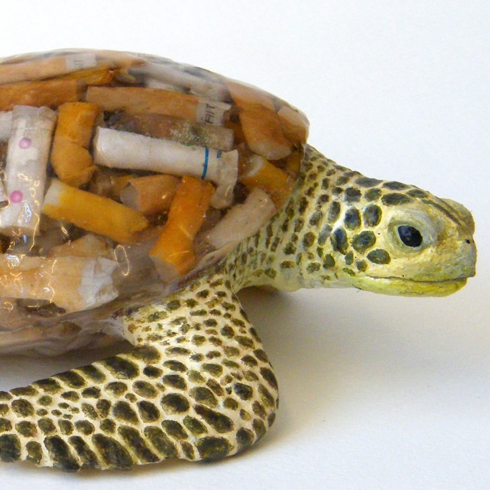 Fag End Turtle by ScapaJoe - Environmental Artist